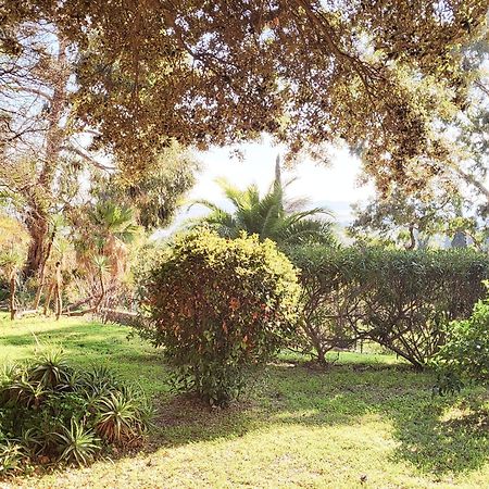 La Suite Costabella A Hyeres-Les-Palmiers Esterno foto