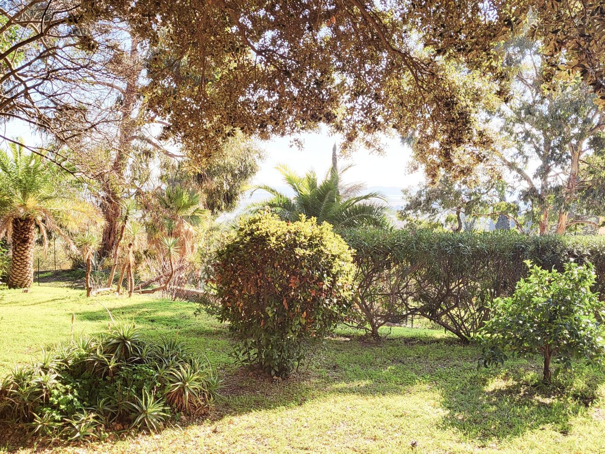 La Suite Costabella A Hyeres-Les-Palmiers Esterno foto